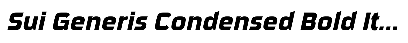 Sui Generis Condensed Bold Italic image